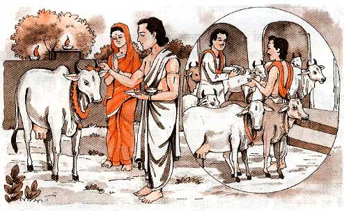 Gau Seva Ka Dharmik Mahatva Kyon Hai Gau Seva Ka Dharmik Mahatva Kyon Hai