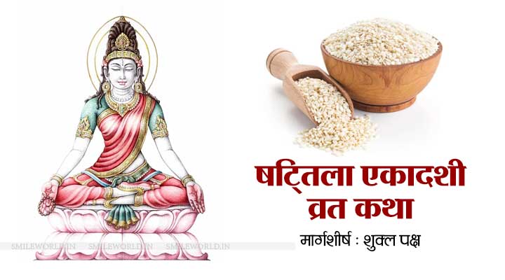 Shattila Ekadashi Vrat Katha in Hindi